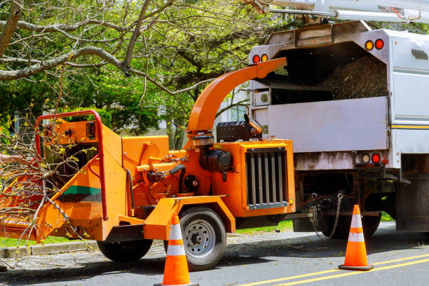 Best Hazardous Tree Removal  in Taft Southwest, TX