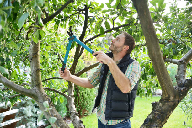 Best Arborist Consultation Services  in Taft Southwest, TX